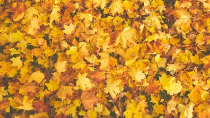 В Україну насувається потужний антициклон: як зміниться погода - фото