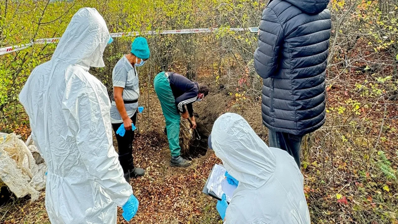 Забив стільцем і закопав тіло у лісосмузі: на Миколаївщині чоловік вбив співмешканку 