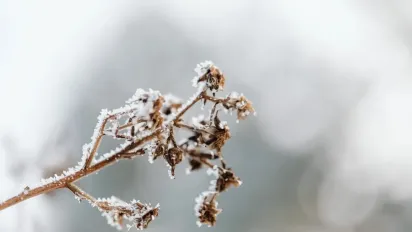 Лише +8°: синоптикиня розказала, де сьогодні в Україні буде найхолодніше - фото