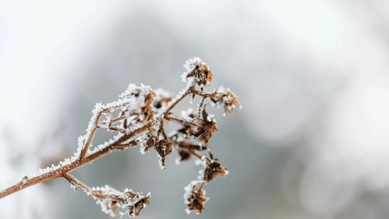 Лише +8°: синоптикиня розказала, де сьогодні в Україні буде найхолодніше 