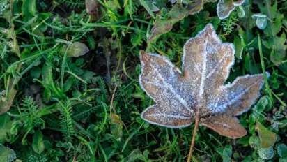 В Україну йдуть заморозки: синоптикиня назвала точні дати - фото