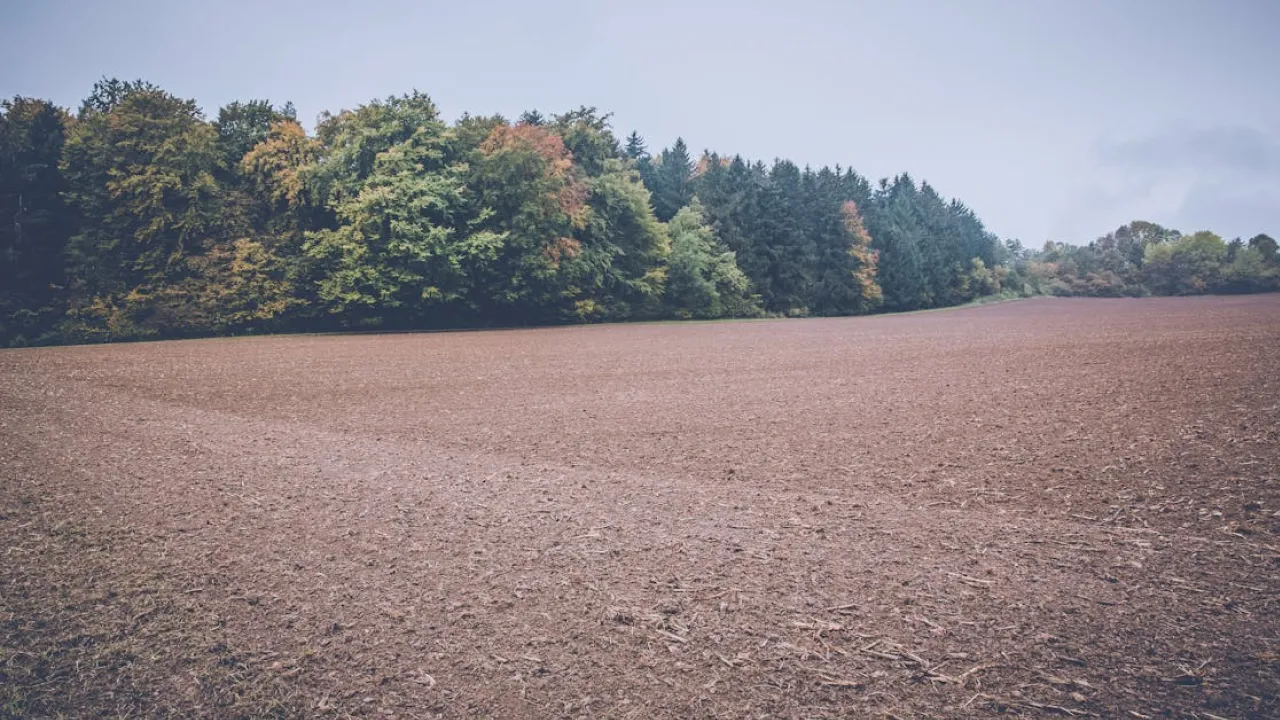 Уряд схвалив проєкт закону про відчуження земель під фортифікації 