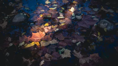 "Буде холодно, утеплюйтесь": синоптикиня Діденко попередила українців про потужне похолодання - фото