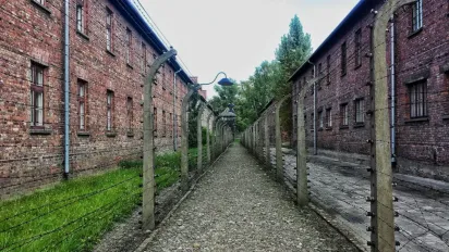 Засуджені зможуть виїжджати з колоній на короткий час : в уряді розповіли, за яких умов - фото