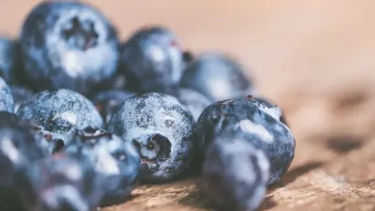 Садівники розповіли, чому лохина погано росте та не родить - фото