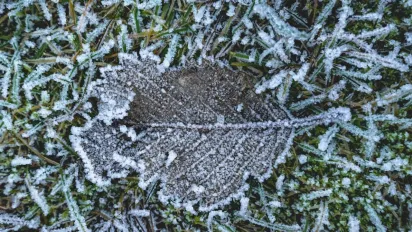 Ставатиме все холодніше: в Україні заморозки можуть бути вже не лише на ґрунті - фото