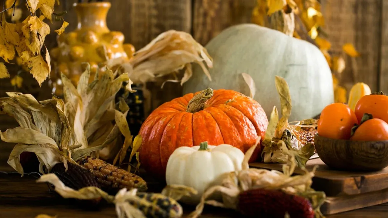 Як правильно висушити гарбузове насіння, щоб воно зберегло свої корисні властивості 