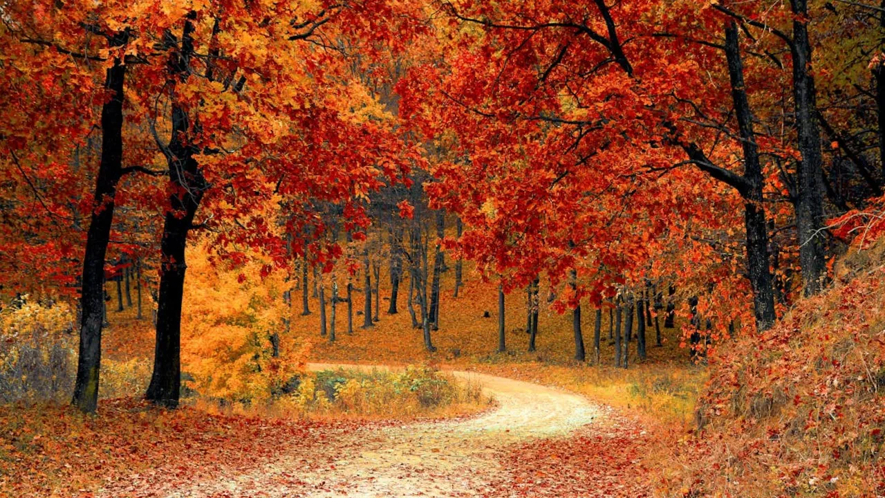 В Україну насувається потужний антициклон: прогноз синоптика 