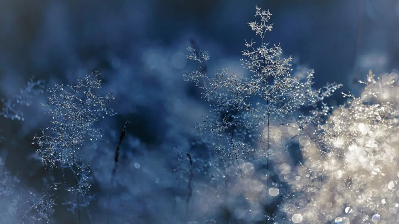 Синоптики попереджають про заморозки: охоплять багато областей вже найближчої ночі 