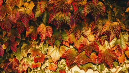 До України мчить потепління: синоптикиня Діденко назвала точні дати - фото