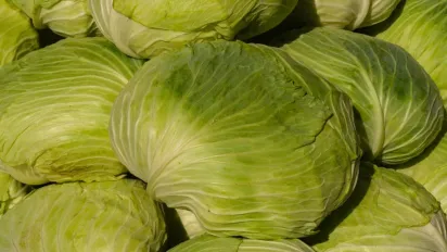 Як зберегти капусту свіжою до весни – корисний лайфхак - фото