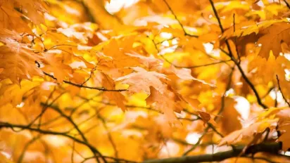 В Україну прийшов потужний антициклон: прогноз синоптика  - фото