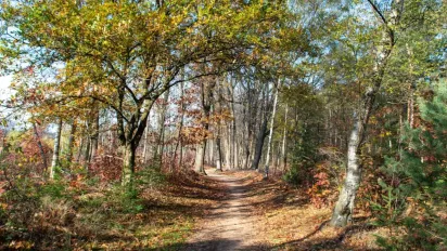 До України йде тепло з Європи: якою буде погода - фото