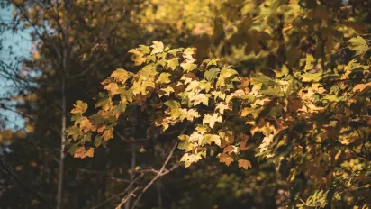 Антициклон Werner в Україні: синоптик розказав, що буде з погодою на вихідних - фото