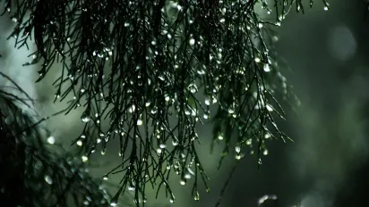 На вихідних в Україну прийде антициклон Werner: прогноз погоди - фото