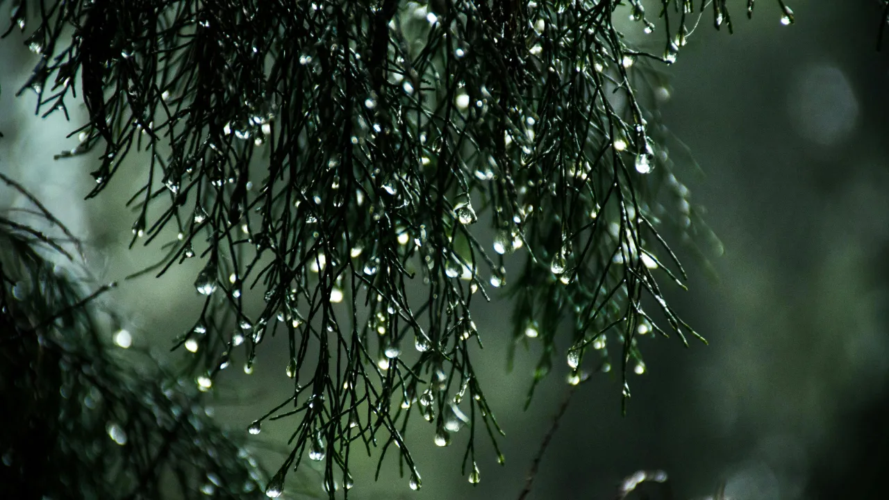 На вихідних в Україну прийде антициклон Werner: прогноз погоди 