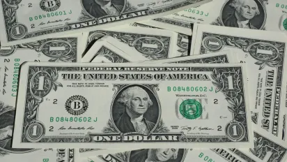 Яким буде курс долара у найближчий рік: прогноз українського бізнесу - фото