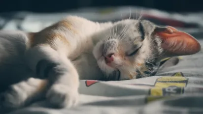 Переведення годинника: 9 порад, як допомогти організму адаптуватися до зимового часу - фото