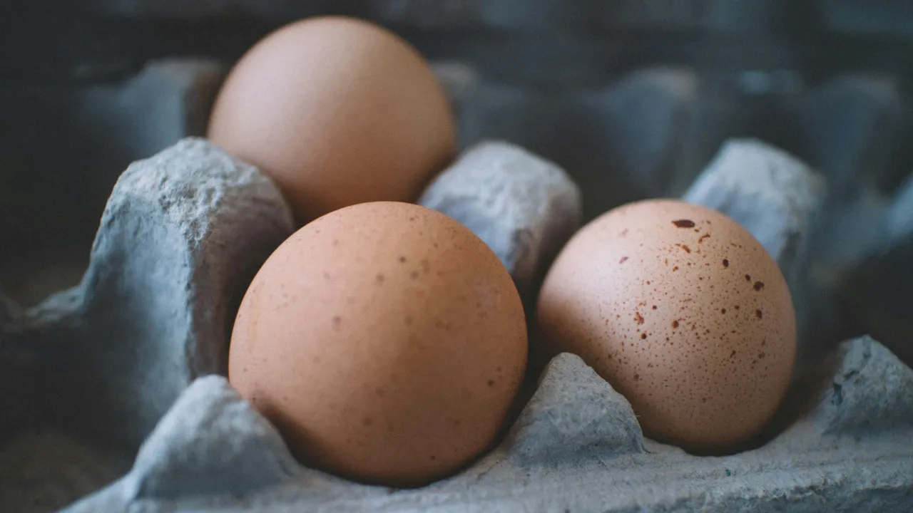 Варені яйця виходять ніжними і легко чистяться: що треба додати у воду 
