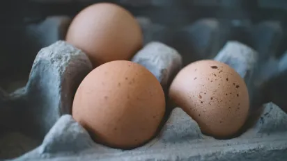 Як правильно зберігати яйця: у холодильнику чи ні - фото