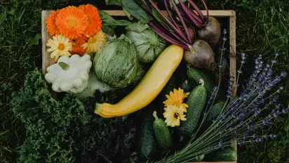 Народні прикмети для гарного врожаю: народний досвід - фото