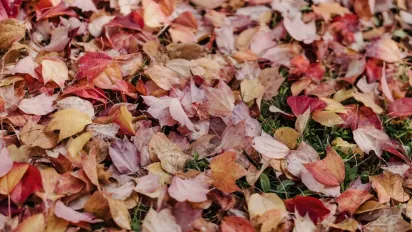 Тепла побільшає, але є нюанс: синоптикиня розповіла, якою буде погода цього  - фото