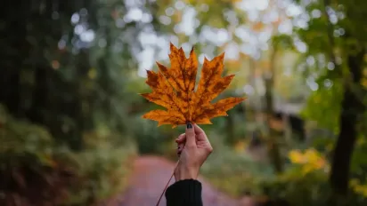 Вівторок потішить українців приємним теплом: де розігріє до +18°  - фото