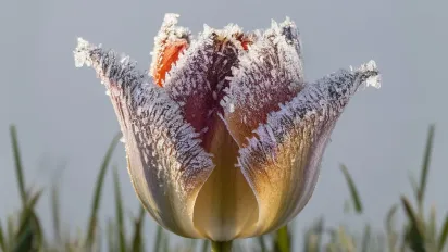 Синоптикиня розповіла, чи очікувати заморозків та дощів в Україні до кінця жовтня - фото
