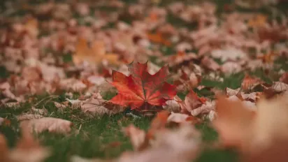 Яким буде листопад в Україні: прогноз на місяць - фото