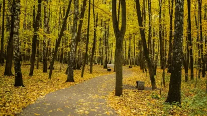 До +19° розігріє Україну в середу: де буде майже весна  - фото