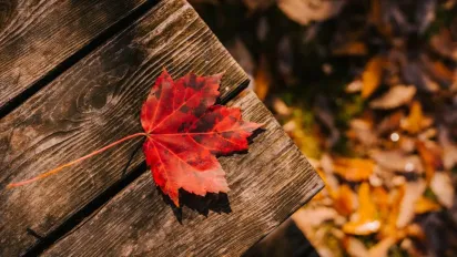 Розігріє до +18°: синоптик розказав, де ще в Україні затримається тепло - фото