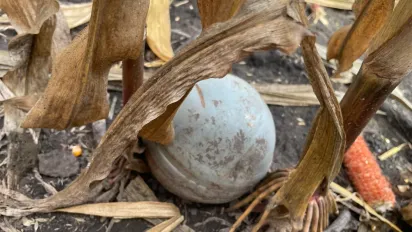 На Вінниччині в полі знайшли касетні суббоєприпаси від крилатої ракети Х-101 - фото