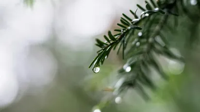 Україну знову накрив антициклон Xelat: прогноз синоптика - фото