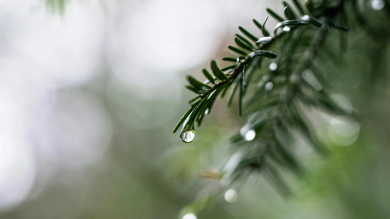 Україну знову накрив антициклон Xelat: прогноз синоптика 