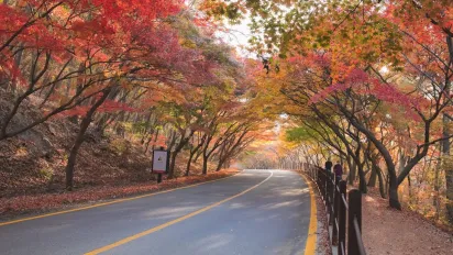 Розігріє аж до +19°: Укргідрометцентр повідомив, де ще затримається тепло - фото
