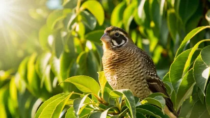 Розігріє аж до +19°: прогноз погоди на 27 жовтня - фото