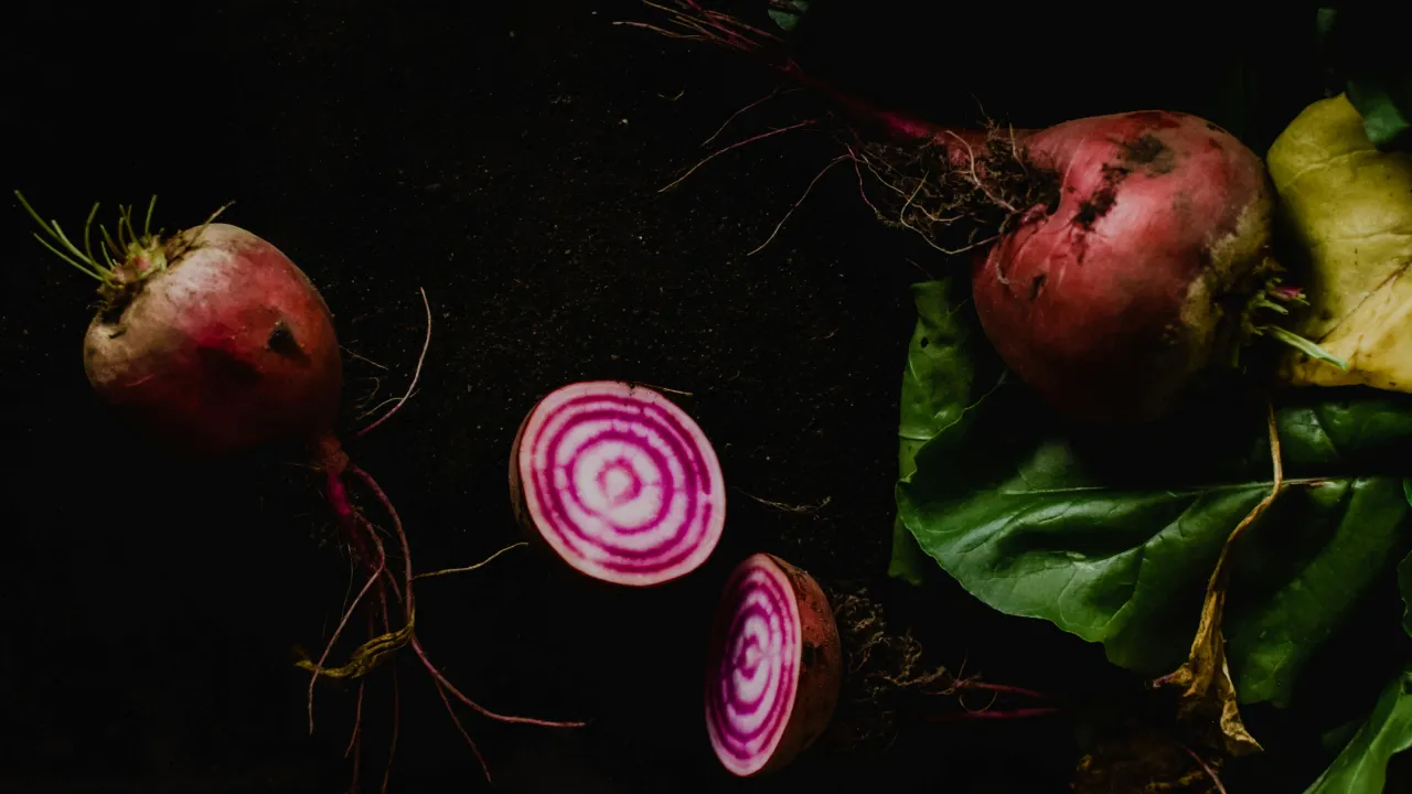 Чи можна сіяти буряк, якщо випав сніг: тонкощі підзимової посадки овочу 