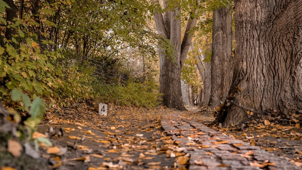 Насолоджуйтесь останнім теплом: синоптикиня попередила про різку зміну погоди в Україні 