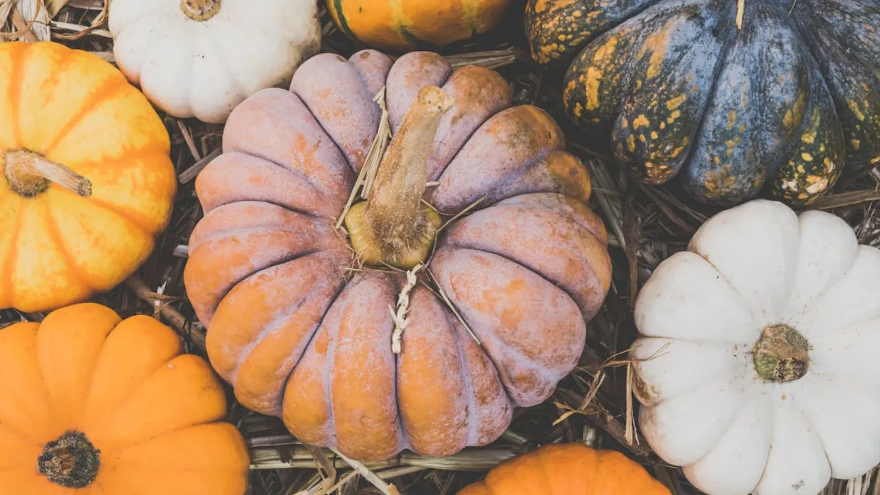 Де краще зберігати гарбуз у домашніх умовах: садівник розкрив нюанси 