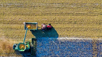 Урожай-2024: скільки та яких саме культур вже зібрали в Україні - фото