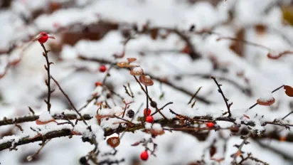 Дощі, мокрий сніг та снігова крупа: в Україні очікується різка зміна погоди - фото