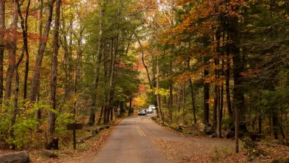 Чи буде ще до кінця осені бабине літо в Україні: прогноз кліматолога - фото
