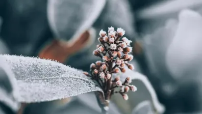 В Україну йде різке похолодання: де і коли настане холоднеча  - фото