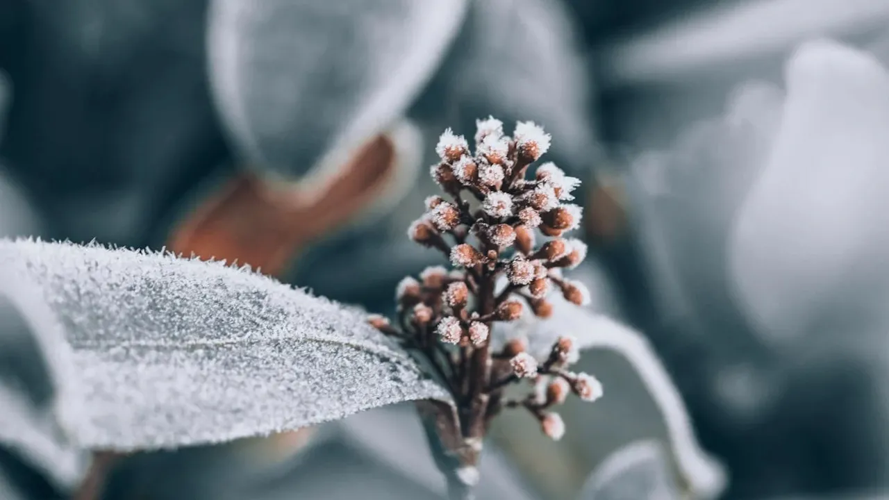 В Україну йде різке похолодання: де і коли настане холоднеча  