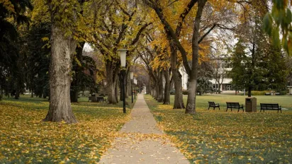 "Погода буде змінюватися": синоптикиня повідомила про похолодання в Україні - фото