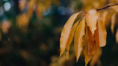 Антициклон починає слабшати: Укргідрометцентр повідомив, як зміниться погода - фото