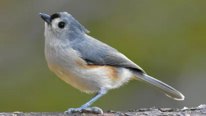 Завтра тепло в Україні ще побуде, але є нюанс: прогноз на 30 жовтня - фото