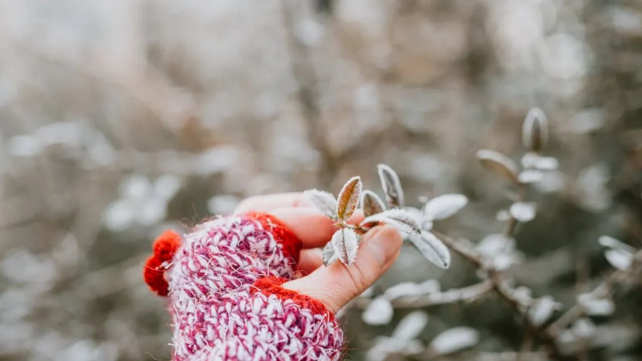В Україну йде серйозне похолодання: названо точні дати 