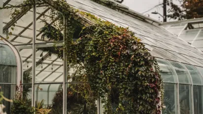 Готуємо теплицю до зими: чим обробити від шкідників та хвороб - фото