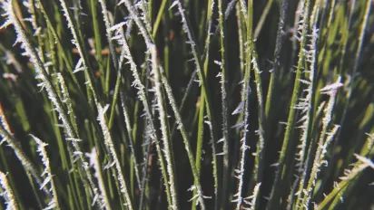 Негода мчить до України: синоптик прогнозує мокрий сніг, снігову крупу та сильний вітер - фото